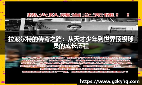 3377体育官网